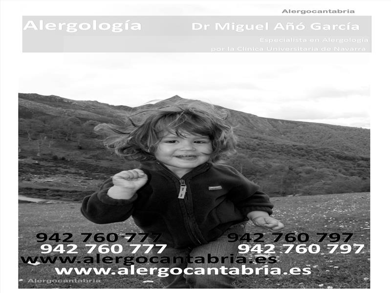 Miguel Ángel Año García