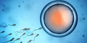 ¿Qué es la inseminación artificial? Tratamiento paso a paso
