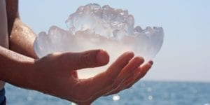 Picaduras de medusas: cómo son y cómo tratarlas