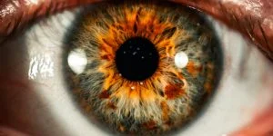 Desprendimiento de retina: causas, síntomas y tratamiento